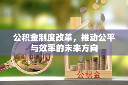 镇平公积金制度改革，推动公平与效率的未来方向