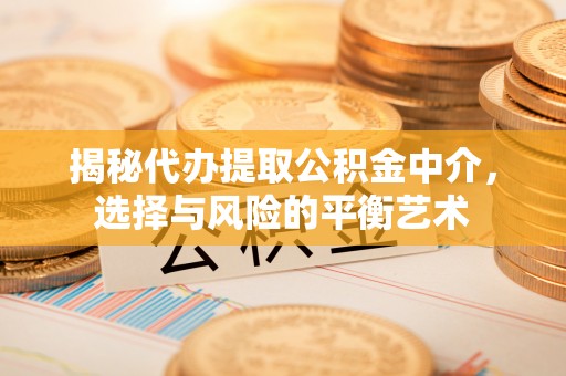 镇平揭秘代办提取公积金中介，选择与风险的平衡艺术