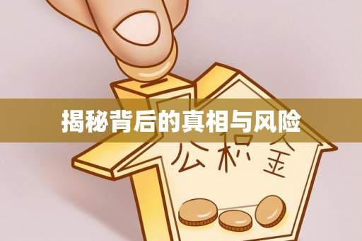 镇平揭秘背后的真相与风险