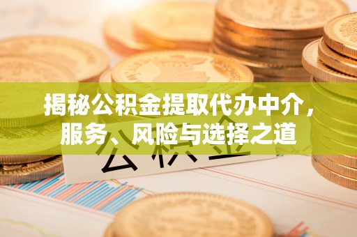 镇平揭秘公积金提取代办中介，服务、风险与选择之道
