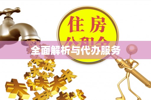 镇平全面解析与代办服务
