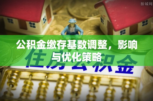 镇平公积金缴存基数调整，影响与优化策略